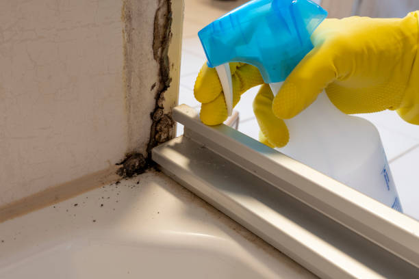Best Water Damage Restoration  in Fort Mckinley, OH