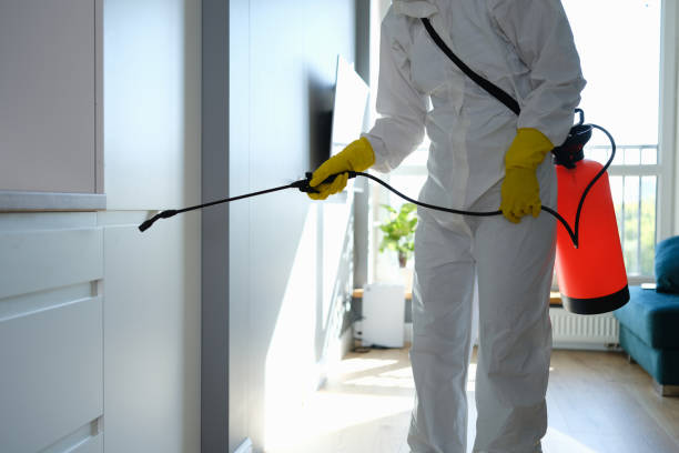 Best Professional Mold Removal  in Fort Mckinley, OH