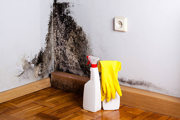 Best Water Damage Restoration  in Fort Mckinley, OH