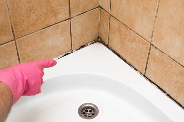Best Mold Removal and Inspection  in Fort Mckinley, OH